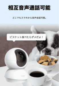 Indoor pet being monitored by the Tapo C200 security camera.