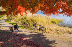 How to Cycle Safely and Legally in Japan