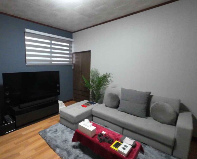 Cozy living room with dimmable roll blinds for light control.